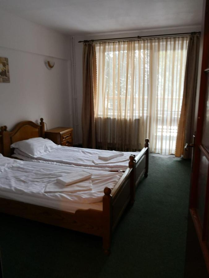Hostel Alex - Complex Dumbrava Minunata Câmpulung Moldovenesc Buitenkant foto